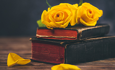 Let scripture interpret scripture